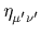 $ \eta_{\mu'\nu'}^{}$