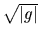 $ \sqrt{\vert g\vert}$